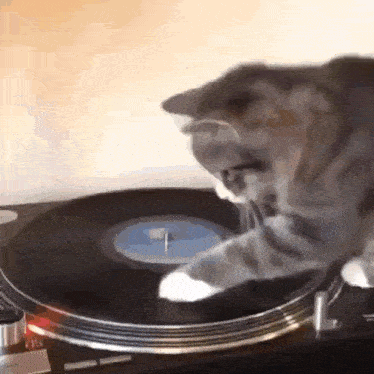 cut turntable gif